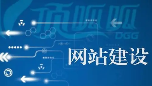 上海網(wǎng)站建設(shè)公司